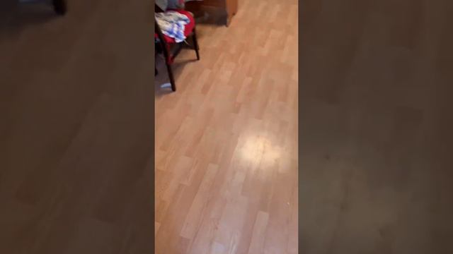 Шоссе в Лаврики д. 83 смотреть онлайн