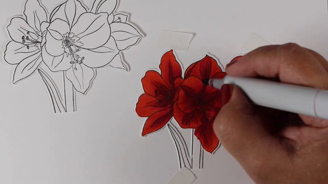 24 Tags of Christmas 2019: Copic Amaryllis смотреть онлайн