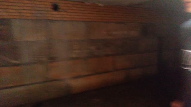 Нашли вход в подземелье под заброшкой в лесу Подмосковья