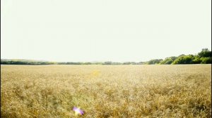 Природа Донбасса!