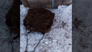 #Жизнь в деревне /Носилки для сена. НА чем возим сено и навоз