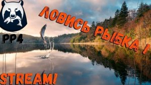 Russian Fishing 4 /Русская рыбалка 4 по рыбным местам с нуля