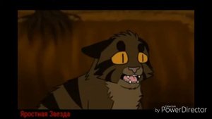 Коты воители Дым и Тростинка