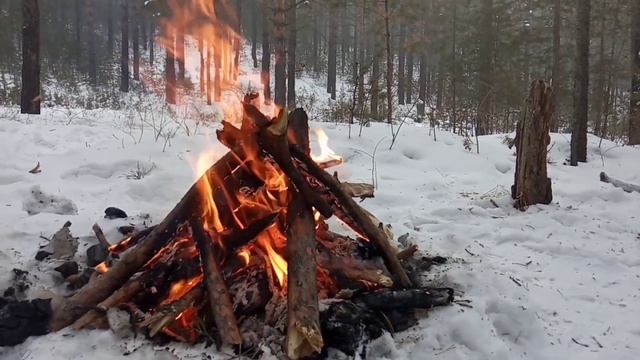 У костра в Аршанской пади. Улан-Удэ. Бурятия | Near fire in the local forest. Buryatia | #Пустырев смотреть онлайн