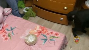 Столичные сыщики изъяли у троих иностранцев почти 2,5 кг приготовленных для сбыта героина и метадона