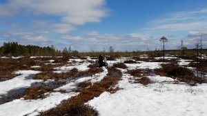 снегоход ямаха vk 540 по болоту