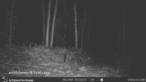 Найден Настоящий Оборотень, его засняли на камеру