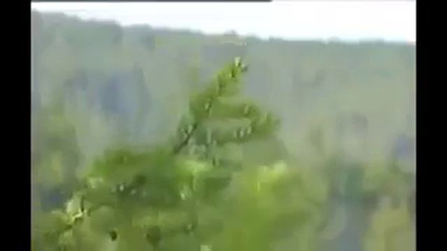 Федеральный закон 473 ФЗ "о территориях опережающего развития" смотреть онлайн