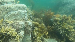 Новая Зеландия, Тихий океан, Южный остров