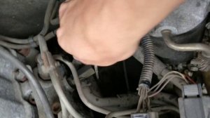 Mitsubishi Delica, 1995 P25W0904269, 4D56