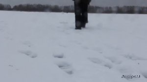 Рыбалка на Святом озере в Шатуре