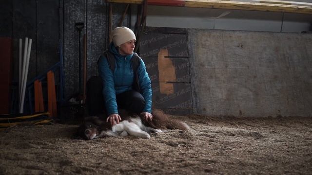Ставропольский зоопсихолог рассказала, как правильно выбрать собаку