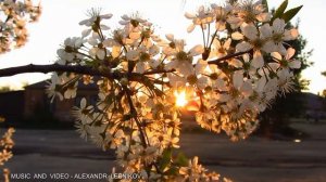 Цветущая ВЕСНА!!! Очень Красивая Весеняя Музыка и Видео!