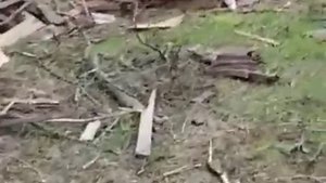 Разрушения в селе Базар, Житомирской области