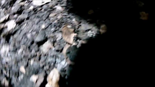 Snake's eye view of a Reticulated Python смотреть онлайн