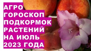 Агрогороскоп подкормок растений на июль 2023 года. Агрогороскоп підживлення рослин на липень 2023