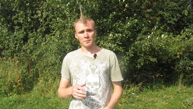 Обращение к панкам. Dикобраz | Дикобраз смотреть онлайн