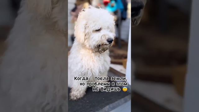 Ты че обиделась ?