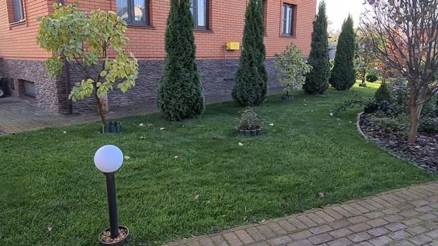 Ремонт газона. Газон на даче