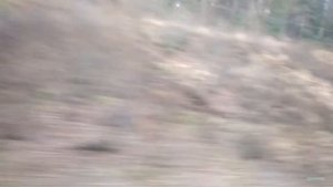 Поездка на ЭД4М-0378! Семхоз-Хотьково.