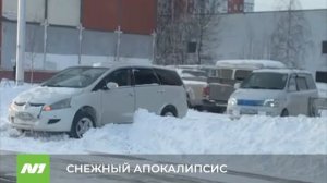 МЕТЕЛЬ ПОМЕШАЛА САМОЛЁТУ