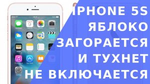 Айфон 5s не включается что делать.  Айфон загорается яблоко и тухнет