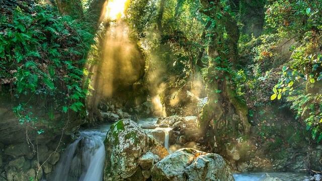 40 минут расслабление и медитации ! смотреть онлайн