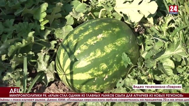 Аграрии из новых регионов переориентируются на рынки России