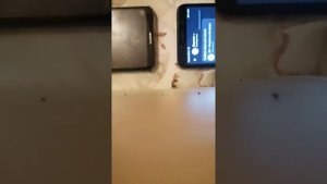 Пранк по телефону угар треш звонок от души #2