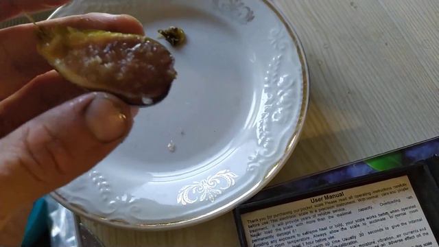 ИНЖИР . Сорт Голиаф . Мой первый плод инжира вырощенный самостоятельно и без минералки ... смотреть онлайн