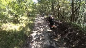 Даховская 2014