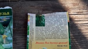 Делюсь Лучшими сортами Огурцов в 2021 году. Сорта огурцов, гибриды, описание огурцов