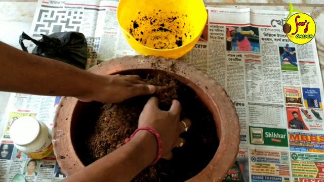 Hanging Pot soil preparation for Petunia ।। Petunia easy care methods ।। смотреть онлайн
