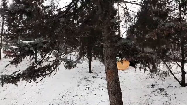 Улётные снежные горки в Таганроге смотреть онлайн