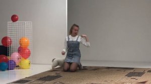 Выставка домашних животных 2019, выступления собачек❤️❤️❤️