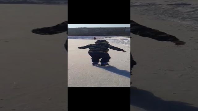 ознакомление с катком смотреть онлайн