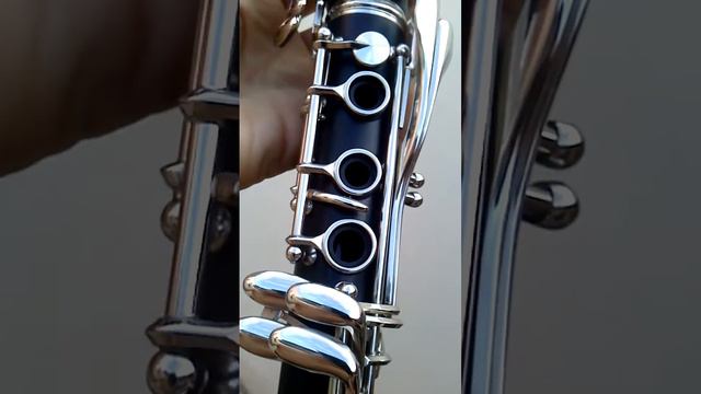 Clarinete Yamaha Ycl-255 Bb 17 Chaves