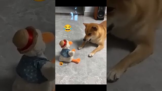 21 February 2024 смотреть онлайн