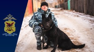 Полицейские пес Айк помог раскрыть преступление