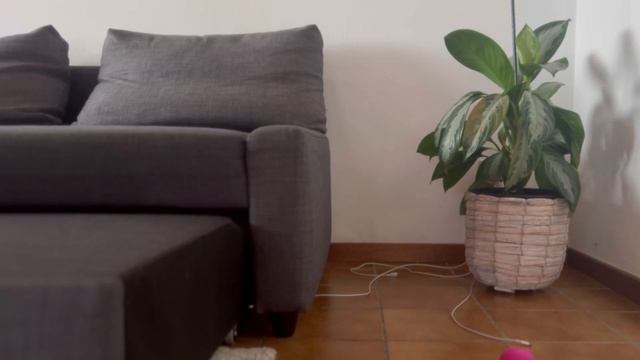 ??Как я поддерживаю дом в чистоте | время для себя☕️ #motivation #cleaning смотреть онлайн