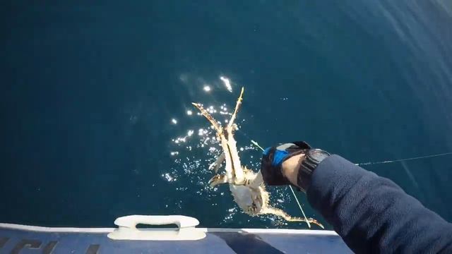 Ловля камбалы и краба в Уссурийском заливе