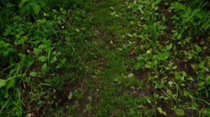 3 дня - 4 вершины. Небольшой поход Б Иремель со стороны Николаевки.