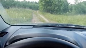 Сузуки Гранд Витара ( Suzuki Grand Vitara ) на среднем и лёгком бездорожье. Вид из машины.