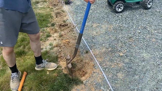 Starting Our Lavender Flower Hedge | Landscaping Our Parking Lot смотреть онлайн