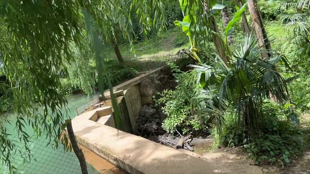 ВЛОГ 12. Грузинское Бали. Банановая роща вблизи Батуми смотреть онлайн