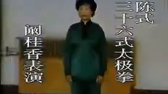 Китайская мастерица выполняет багуа чжан Сунь ши и тайцзи Чэнь ши. смотреть онлайн