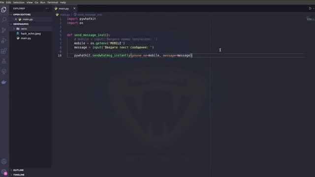 Практика Python | Отправляем сообщения в WhatsApp | Автоматизация WhatsApp