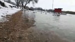 Прикормочный карповый кораблик Амур. Испытание на озере.