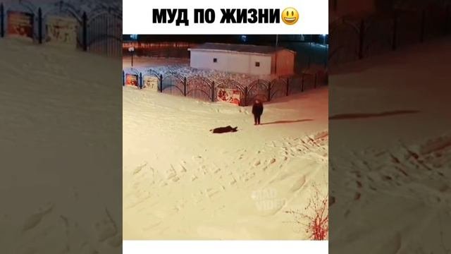 1000032012.mp4