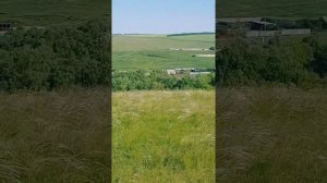 РОДИНА - станица Нехаевская Волгоградская обл. Лето 2020 г.